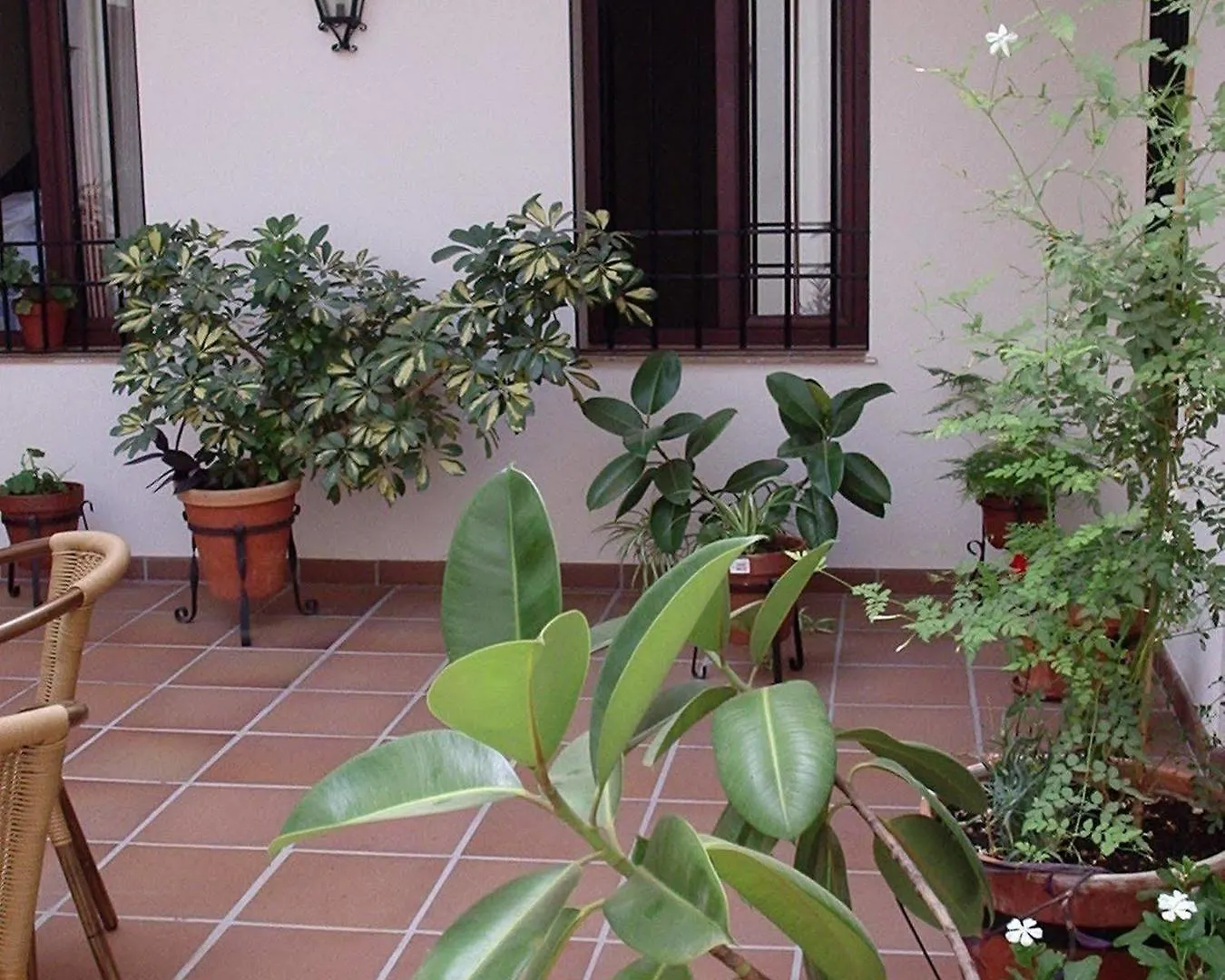 Hotel Apartamentos Rurales Molino Almona Adamuz